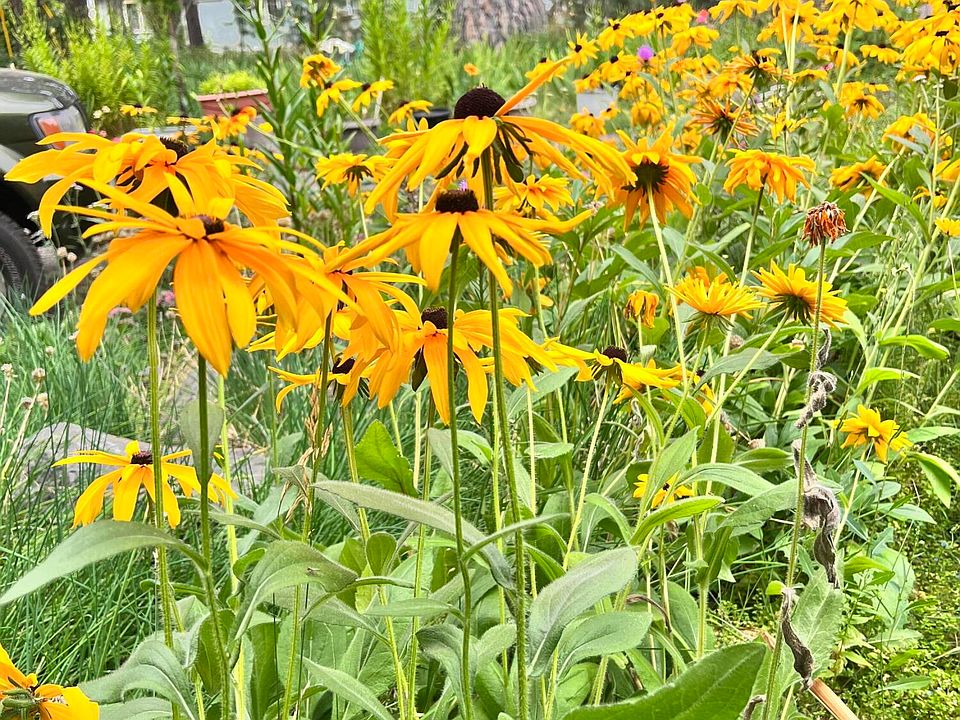 0 Chiloquin Dr, Chiloquin, OR 97624 Zillow