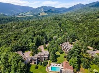 1229 Notchbrook Rd #30, Stowe, VT 05672