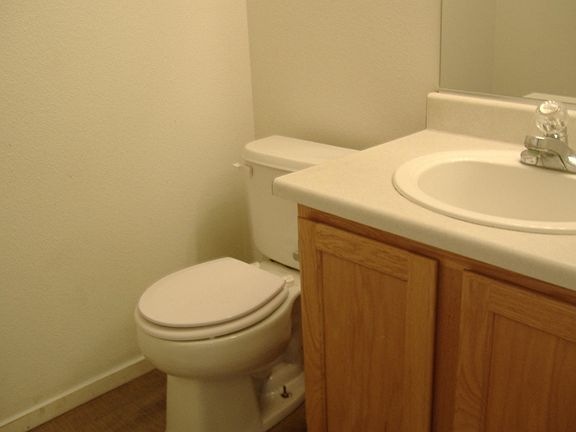 5th image of 1334 Dusty Creek St