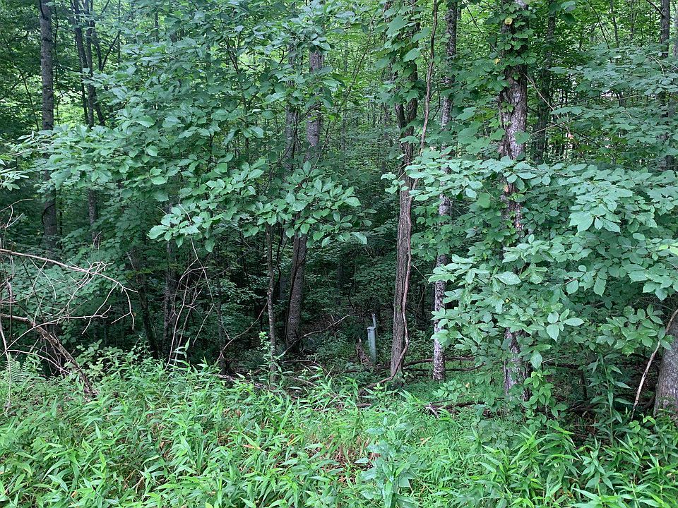 1st image of 37 Mountain Valley Ln