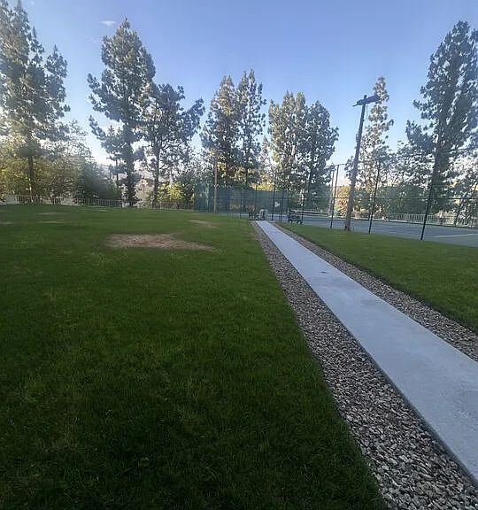 100 S Doheny Dr #213 — Photo 8