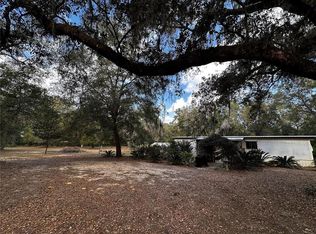 12212 NE 238th Ter, Salt Springs, FL 32134