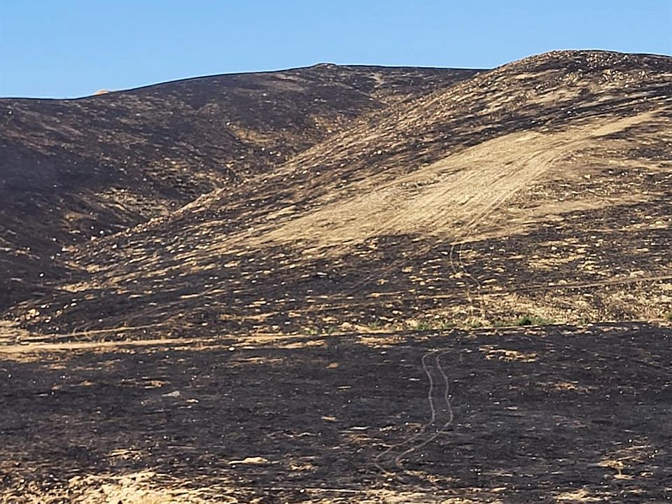 1st image of 14801 Alfred Harrell Hwy