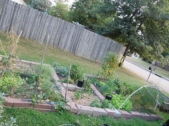 Raised bed organic gardens