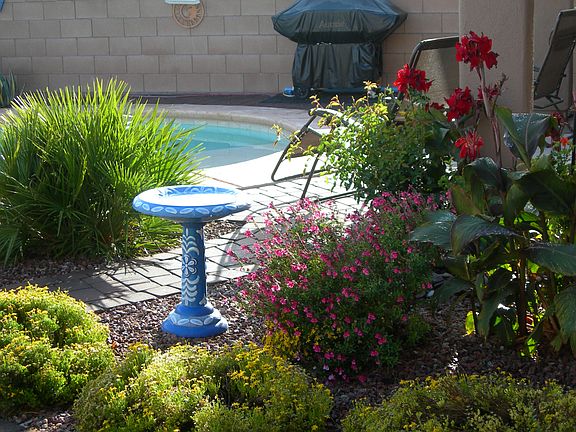 enjoy colorful plantings 