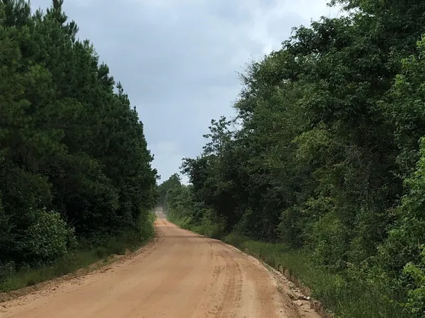0 Old Milan Rd, Rhine, GA 31077