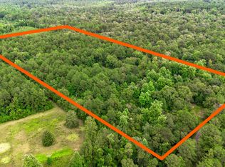 85 Otis Ladner Rd, Lumberton, MS 39455