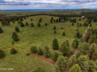 9 County Road N1040 St, Eagar, AZ 85925