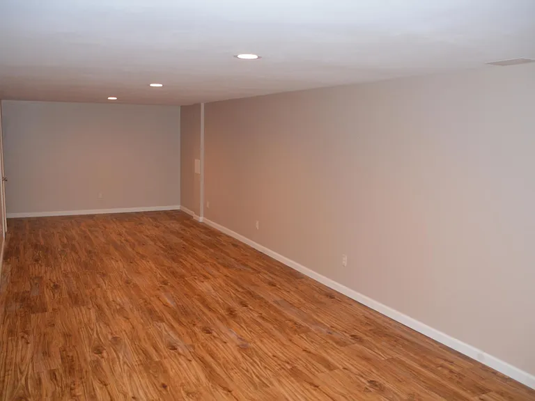 Lower Level view from back wall