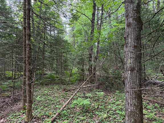 4th image of 8090 S Davis Rd