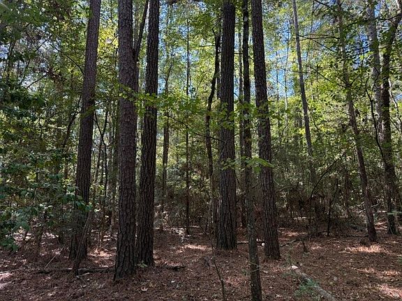 5th image of 0 Woods Rd