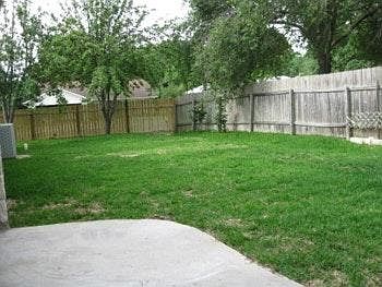 Dusky Thrush fenced back yard, sprinkler system and fruit tr