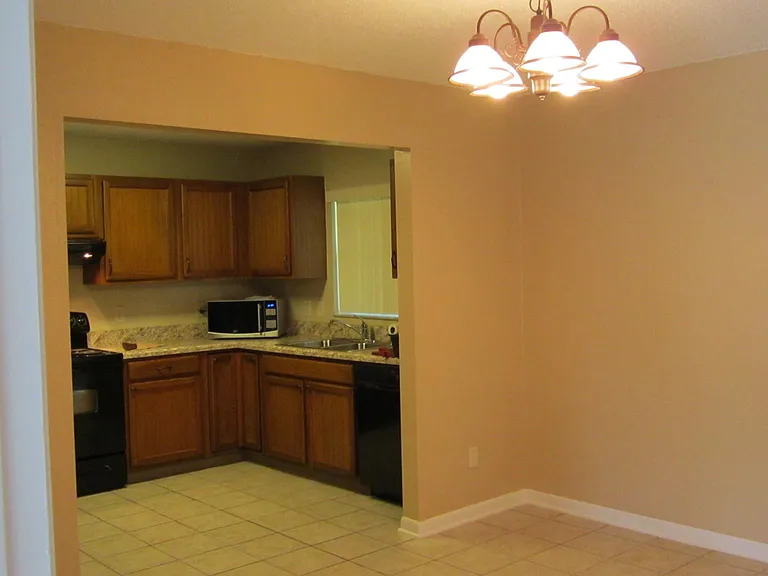 Travelers Palm Dr — Photo 4