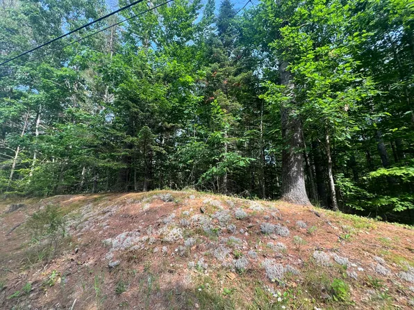 Lot #5 Intervale Road, Bethel, ME 04217