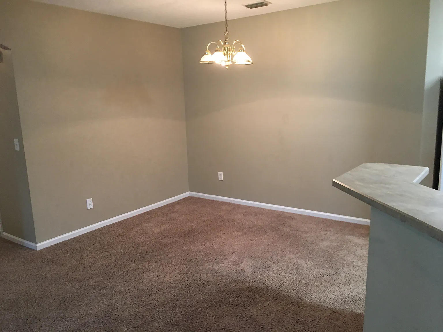 785 Oakleaf Plantation Pkwy — Photo 4