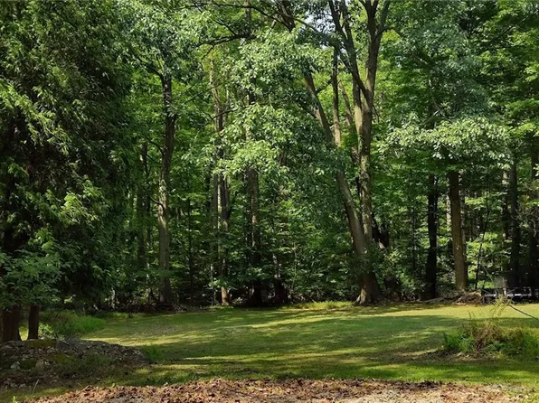 0 Chestnut Ridge Rd, Blairsville, PA 15717