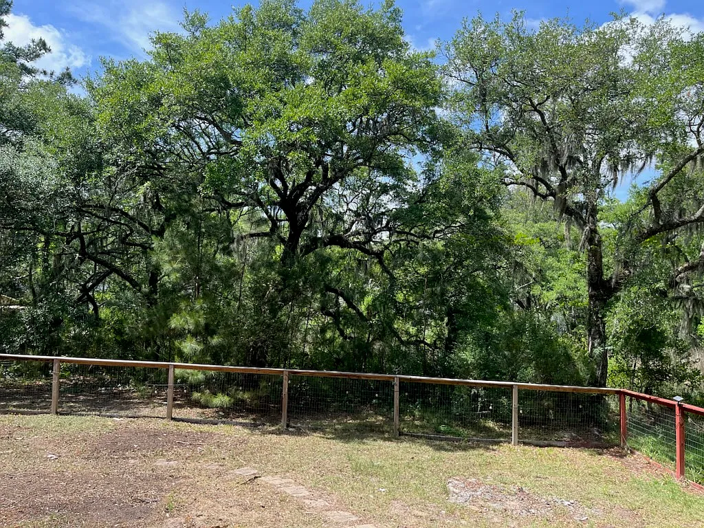 private wooded yard - 2154 Catterton Dr