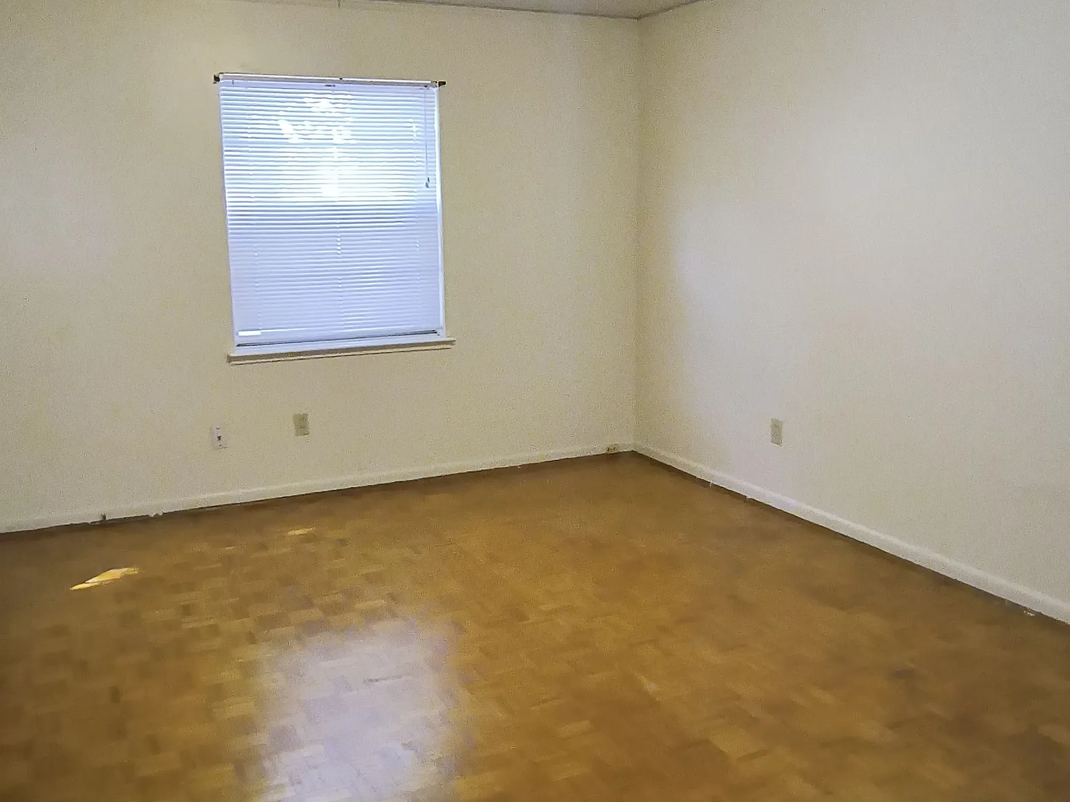 z1509 Belmoor Avenue - 1 — Photo 4