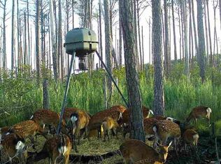 2265 Wingate Bishops Head Rd, Wingate, MD 21675