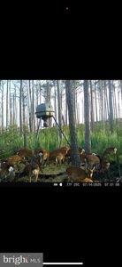 2265 Wingate Bishops Head Rd, Wingate, MD, 21675