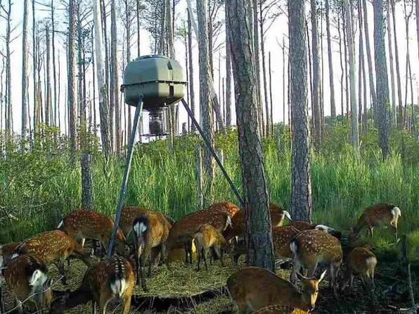 2265 Wingate Bishops Head Rd, Wingate, MD 21675