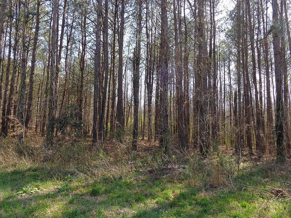 2nd image of 0 Hall Rd #5