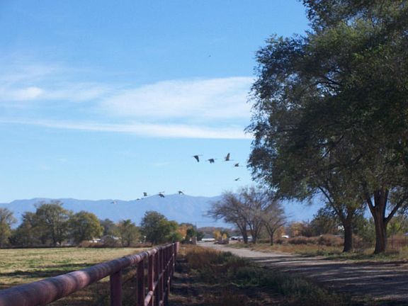 Private lane w/ gorgeous mountain views