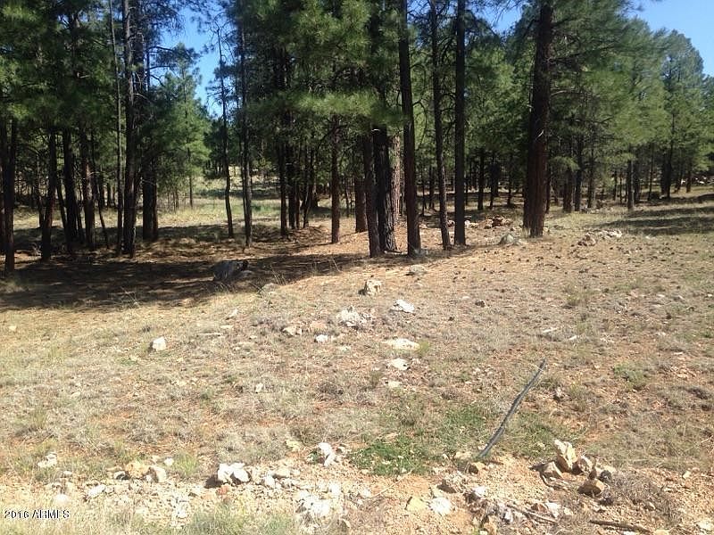 4435 Starlight Dr Happy Jack, AZ, 86024 Apartments for Rent Zillow