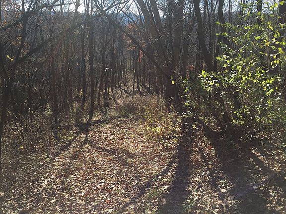 4th image of Lot 13 Galena Estates