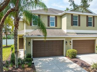 8615 Fiddleleaf Ct, Tampa, FL 33647