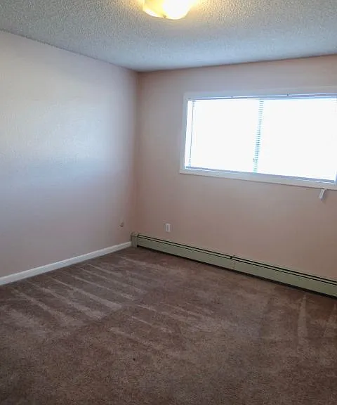 1410 Lake Elmo Dr — Photo 4