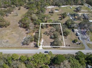 6673 S Lewdingar Dr, Homosassa, FL 34446