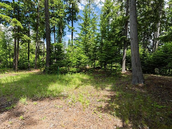 4th image of LOT 29 Bruin Rd