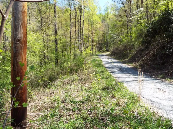 0 Bannack Springs Rd, Whittier, NC 28789