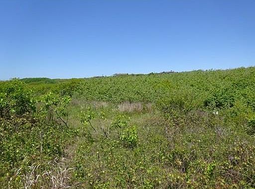 3rd image of 0 Cuttyhunk Island-land
