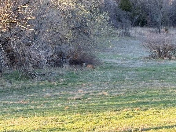 5th image of 7701 S Peebly Rd