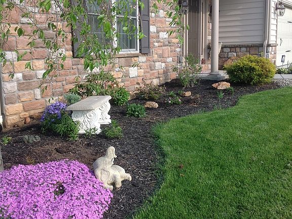 Beautiful perennials