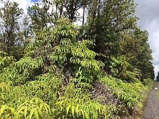 2nd image of Makana St Lot 48