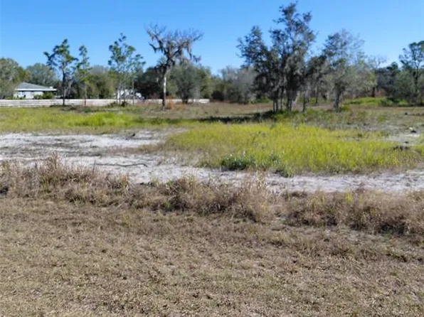 39925 20th Pl E, Myakka City, FL 34251