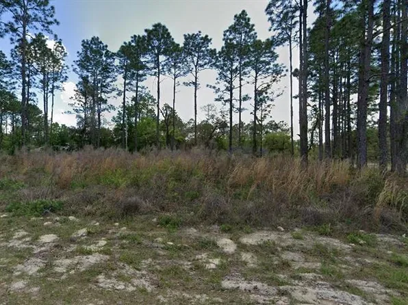 1562 W ACADIAN PLACE LOT 1, CITRUS SPRINGS, FL 34434