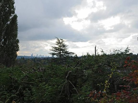 Another View from Deck