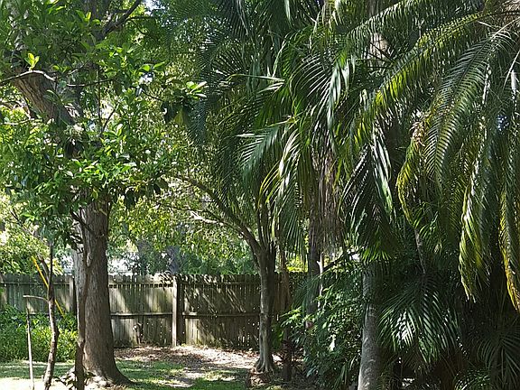 Back yard view