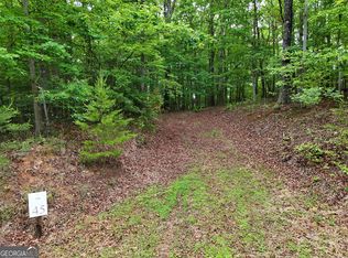 LOT 45 Cascading Brook Ln, Blue Ridge, GA 30513