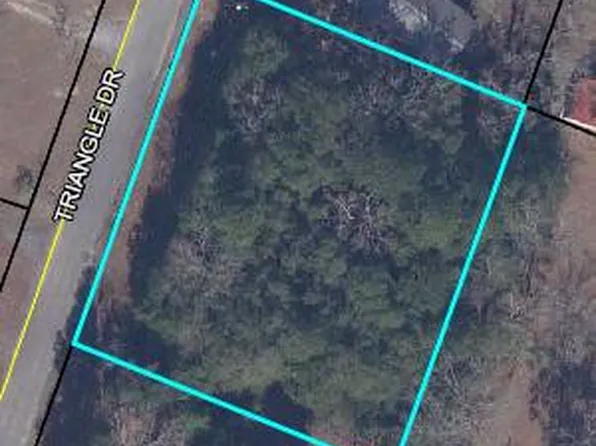 100 Triangle Dr, Summerton, SC 29148
