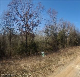 N Carbon City Rd, Paris, AR, 72855