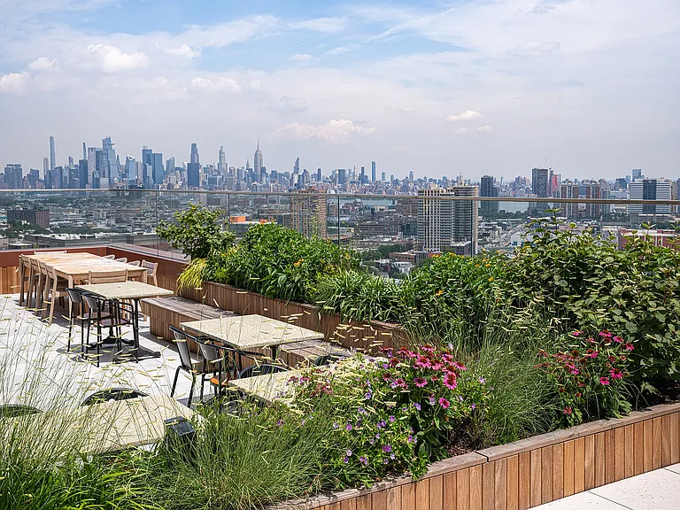 Rooftop Skyline