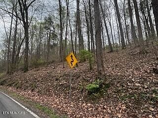 2nd image of 197 County Rd