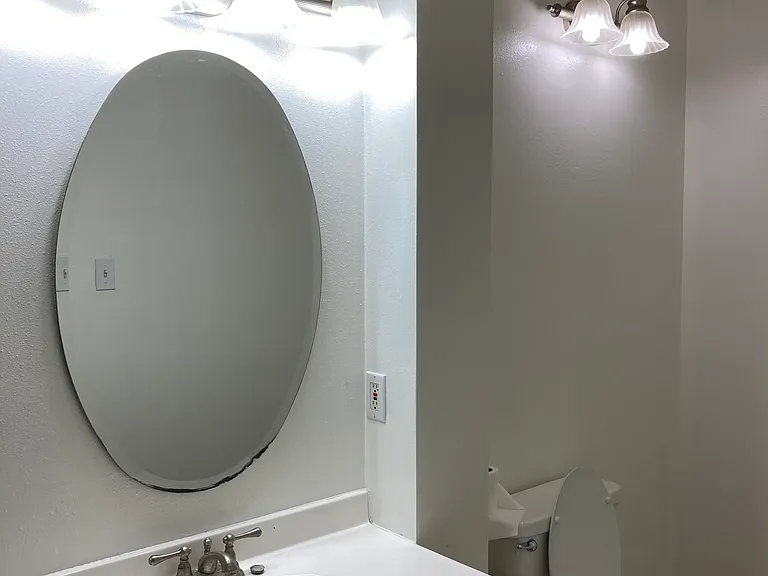 Master Vanity and Toilet