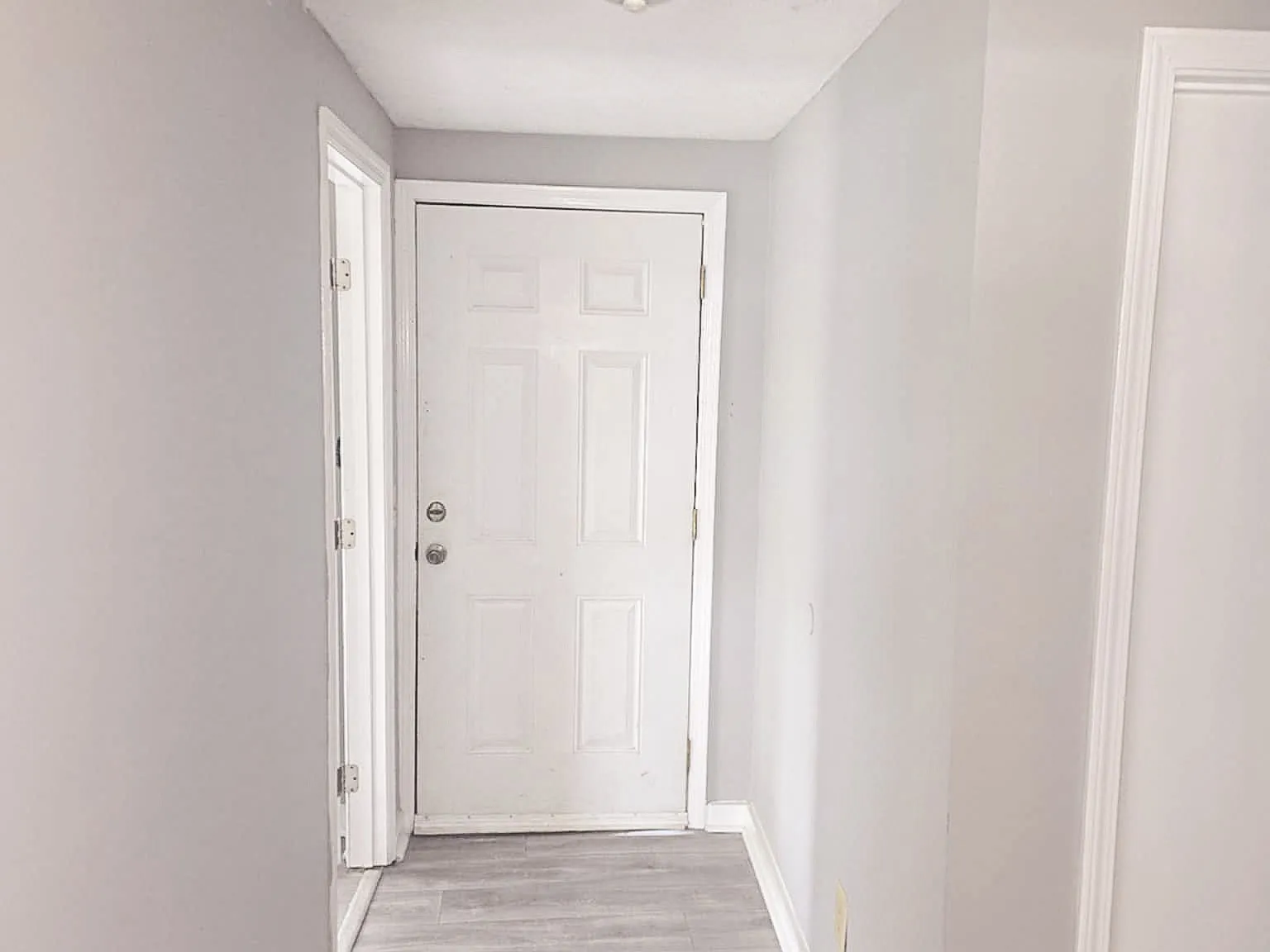 3 bed, 800 sqft, $1,260 — Photo 2