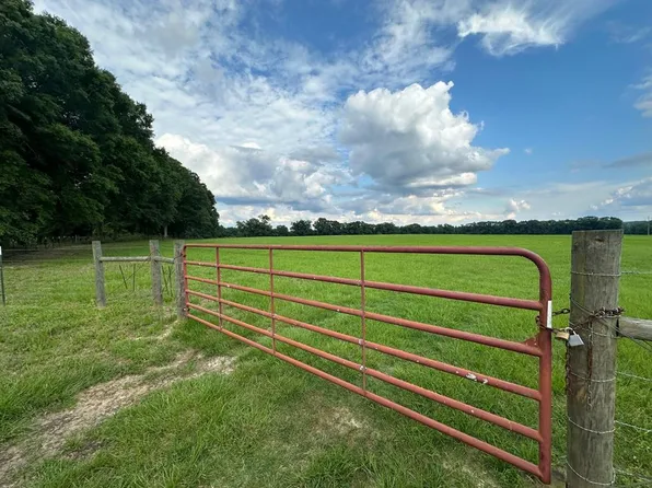 0 County Road 3337, Brundidge, AL 36010